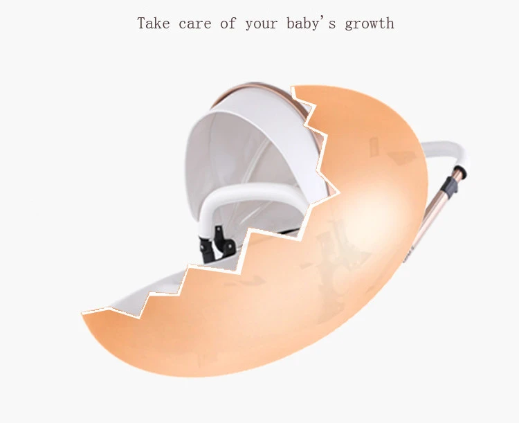 custom stroller custom stroller
